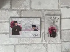 snowman 渡辺翔太 ウソ婚