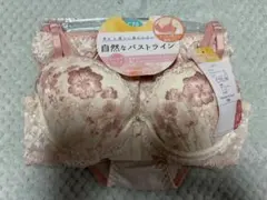 Pan Cute ブラジャー ショーツ セット C70 M ピンク系