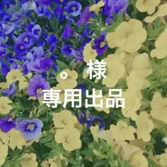 ♡ 。 様 専用出品 ♡