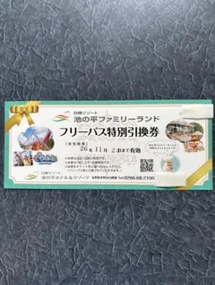 池の平ファミリーランド フリーパス特別引換券 2枚 - メルカリ
