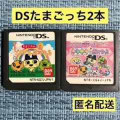 DS プチプチおみせっち & キラキラおみせっち ソフトのみ