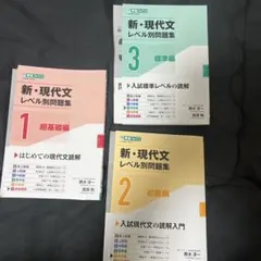 新 現代文レベル別問題集1 2 3セット