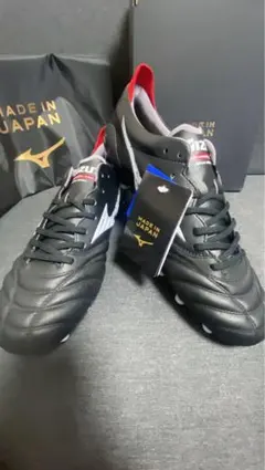 新品未使用　モレリアネオ4