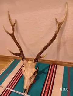 2026年最新】鹿 角 トロフィーの人気アイテム - メルカリ