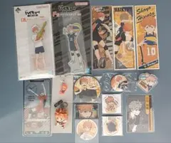 ハイキュー!! 日向翔陽 16点まとめ売り アクスタ キーホルダー 缶バッジ