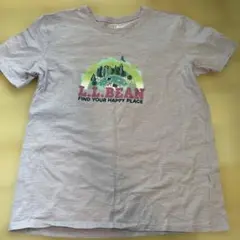 L.L.Bean Tシャツ XL18のサムネイル