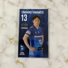 Item thumbnail for item a7effd28-37a4-4eb5-96af-55936db6a5bc