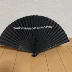 Item thumbnail for item ba7023ea-0ae6-43b0-81e2-f31dbe991025