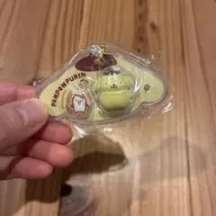 サンリオキ　パッケージチャーム　ポムポムプリン　クロミ　クロミ　シナモン　４点