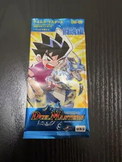 デュエルマスターズ DM-13 龍炎鳳神誕 エターナル・フェニックス 1