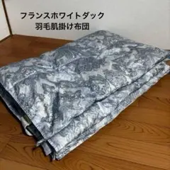 2026年最新】中古 羽毛布団の人気アイテム - メルカリ