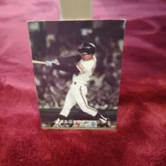 77年カルビープロ野球カード 大阪版 大-59 柳田真宏