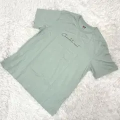 a.v.v 31アイス XL Tシャツ コラボ チョコミント グリーン スポーツのサムネイル