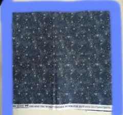 Item thumbnail for item 7463ed19-91d6-44fb-98df-f6d691c4b4c5