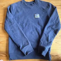 Patagonia メンズスウェット　トレーナーのサムネイル
