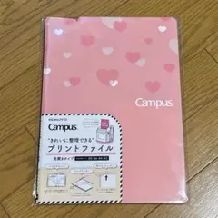 Item thumbnail for item 1afee351-bc53-437c-8796-f0c927898fff