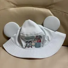 ディズニー　チップデール キャップ　 本体とパッケージ折れてます！！　新品