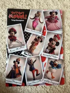 東京ディズニーランド ミニー クリアファイル