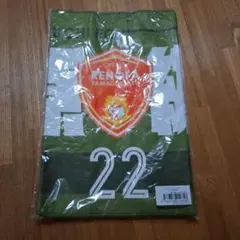 レノファ山口FC 背番号22 GK 糸原紘史郞選手プレイヤーズフェイスタオル