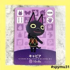 どうぶつの森amiiboカード　キャビア