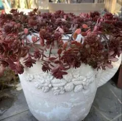 スヌーピー様 リクエスト 2点 まとめ商品