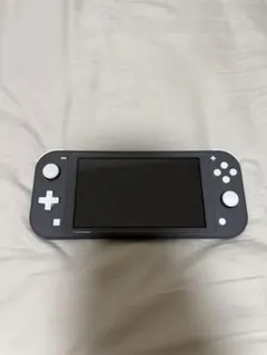超美品Nintendo Switch Lite グレー 本体 ACアダプター付き