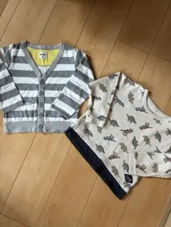 プティマイン　ブランシェス　100