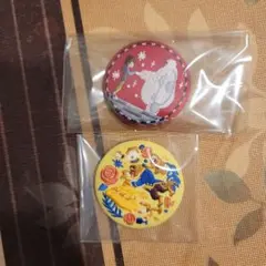 ディズニー刺繍缶バッチ　美女と野獣　ベイマックス