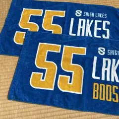 SHIGA LAKES 55ブースタータオル2枚セット
