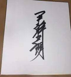 阪神タイガース 直筆サイン色紙 17 | Mercari