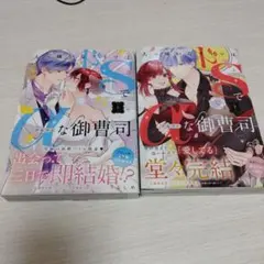 大っ嫌いなアイツはドSでαな御曹司 上下