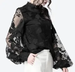 花柄刺繍★総レーストップス★シフォンブラウス★バルーン袖ボリューム袖★シースルー