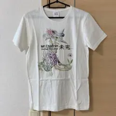 Item thumbnail for item 00708d9c-8bdb-4e5c-84f1-6a9ee3b7101f