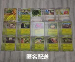 ジュナイパーex 進化ライン 草デッキパーツ ポケモンカード ムニキスゼロ