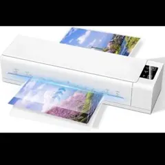 Item thumbnail for item e130aaf9-5f4b-4072-8351-56542f52e772