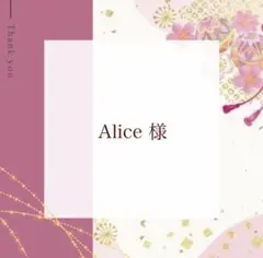 .*⁠✧⁠ Alice ✧⁠*.様 リクエスト 2点 まとめ商品