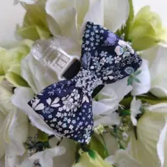 Item thumbnail for item 39693441-1205-4108-8652-842136bf7914