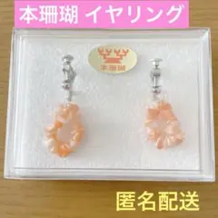 本珊瑚 イヤリング