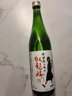 新品未開封】限定品！ビーバップハイスクール 今日子っちの臥龍梅 中山 