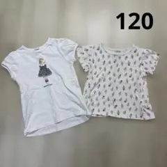 プティマイン 半袖 tシャツ　トップス　セット売り　120 女の子