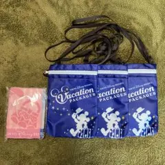 ディズニーバケーションパッケージ　ポーチ＆タオルセット