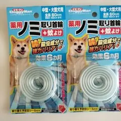 Item thumbnail for item d473e8bd-e203-49c1-abf3-9da561085f90