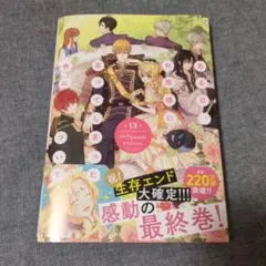 ある日、お姫様になってしまった件について　13巻