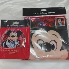 新品未使用 東京ディズニーリゾート ミッキー イマジニングザマジック 2点セット