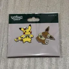 ポケパーク カントー イーブイ ピンバッジ - メルカリ