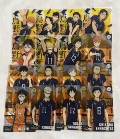 ハイキュー クリアカード 烏野高校 16枚セット