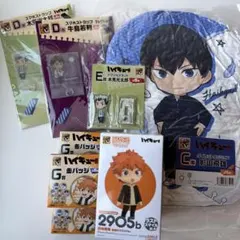 おまけ付き ハイキュー!! ラストスマイル賞 ねんどろいど 日向翔陽