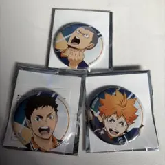 ハイキュー point get 缶バッジ 田中、日向、澤村セット