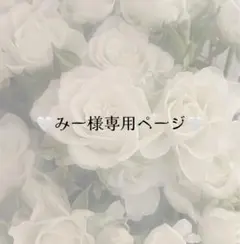 みー様専用ページ