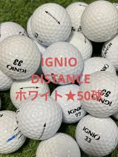 Item thumbnail for item 442ea253-d6a9-4b70-8a12-60fe9e7bb2c9